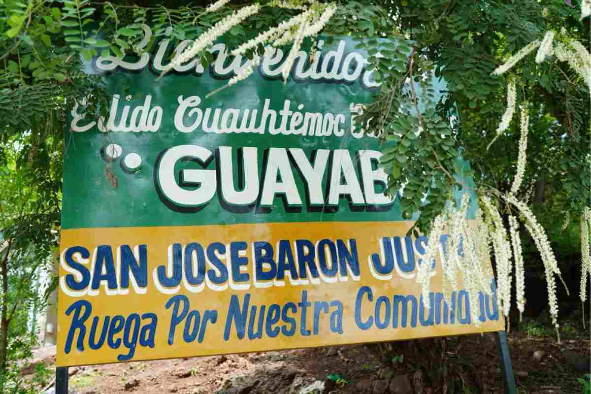 Coahuayana y la nueva era de violencia explosiva en Michoacán: drones, minas antipersona y coches bomba