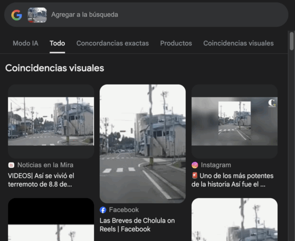 Fuente: Captura de pantalla de la búsqueda inversa en Google Lens.