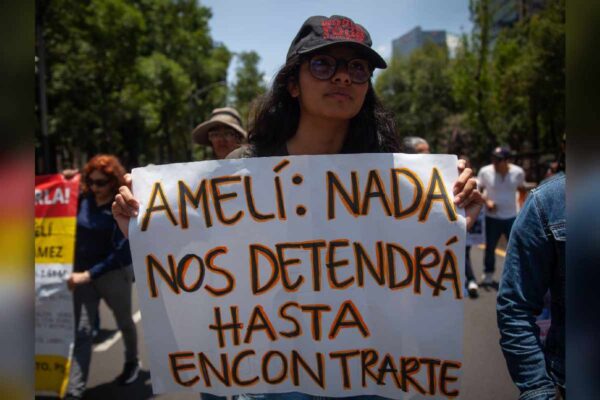 Caso Ana Amelí CIDH