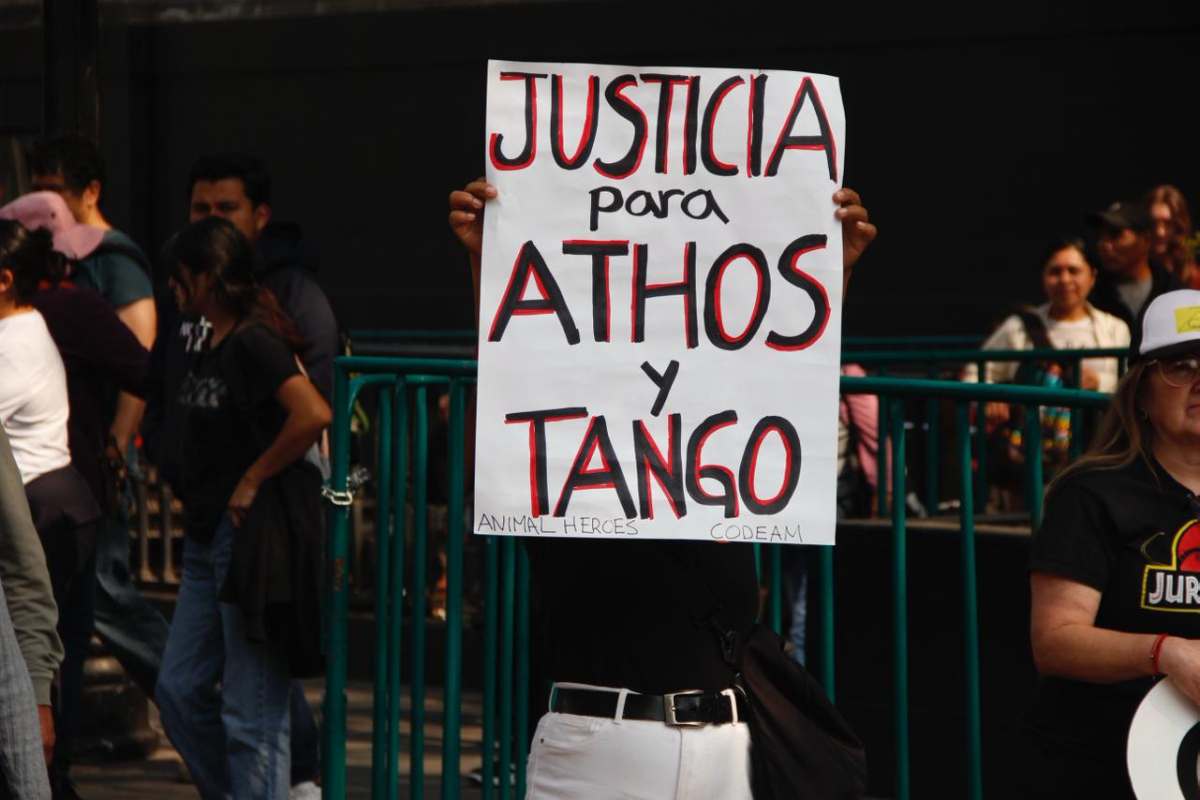 Caso Athos y Tango: la sentencia que, en pleno Día de los Derechos de los Animales, pone en duda la justicia mexicana