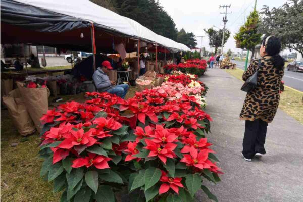 Contaminación FASE 1 EDOMEX