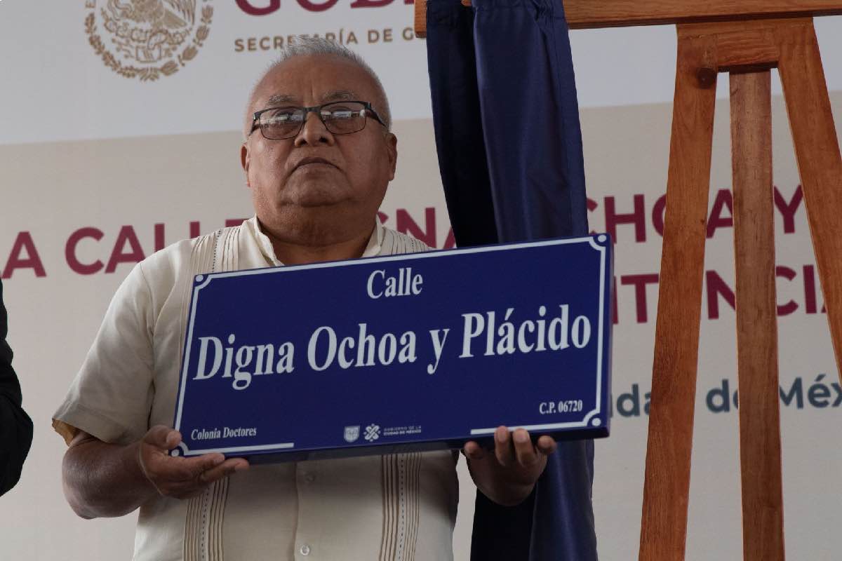 Crear el registro de feminicidios ordenado en el caso Campo Algodonero, primera gran prueba para la fiscal Ernestina Godoy Animal_Político_4