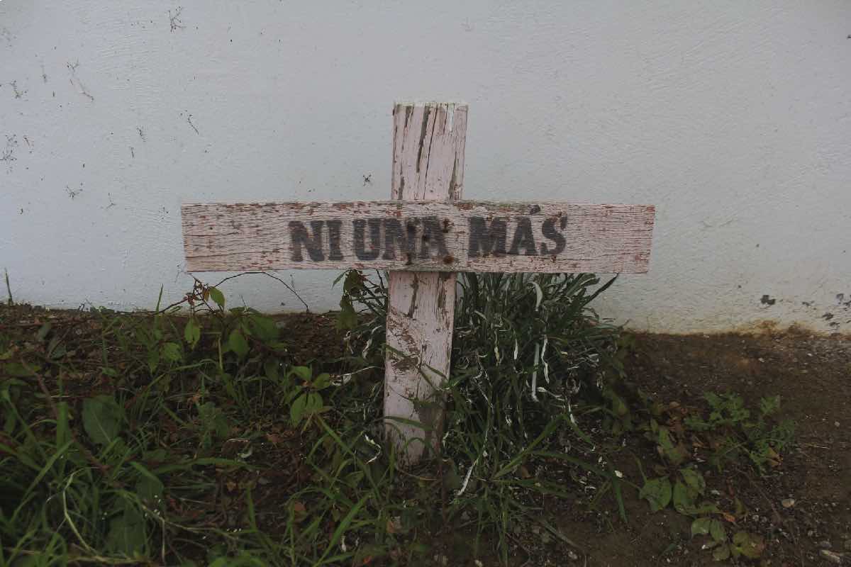 Crear el registro de feminicidios ordenado en el caso Campo Algodonero, primera gran prueba para la fiscal Ernestina Godoy Animal_Político_8