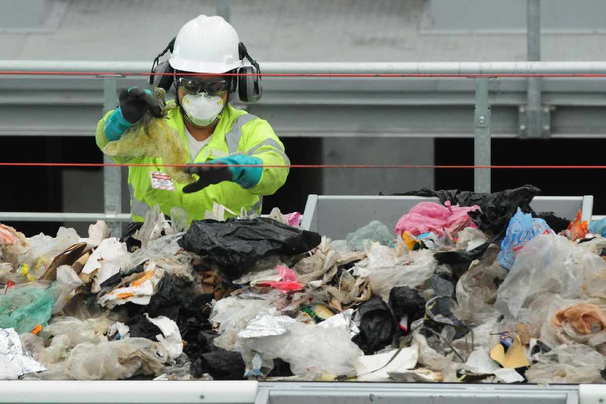 Diputados aprueban por unanimidad Ley General de Economía Circular Animal_Político_7