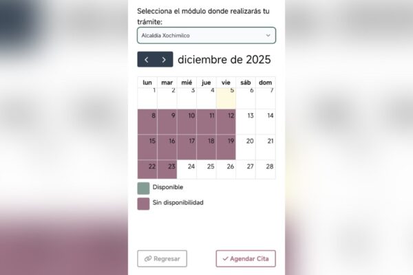 Falta citas licencia permanente