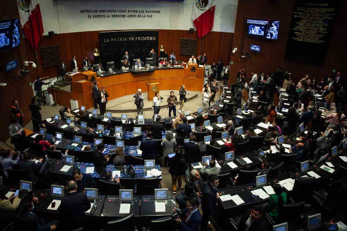 La FGR de Gertz Manero- sin Plan de Procuración de Justicia y bases de datos clave en abandono Animal Político_9