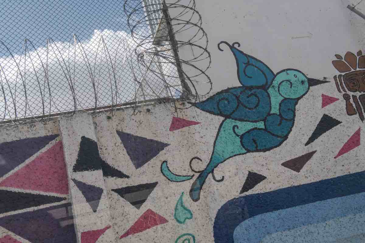 Límite de edad para infancias en prisión vulnera derechos y es contrario a estándares internacionales_2