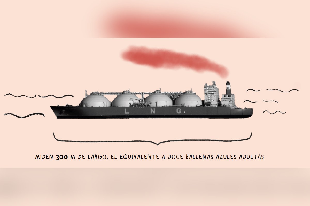 Megaproyectos de gas suman 10 juicios de amparo contra afectaciones ambientales; Sheinbaum defiende Saguaro Animal_Político_3