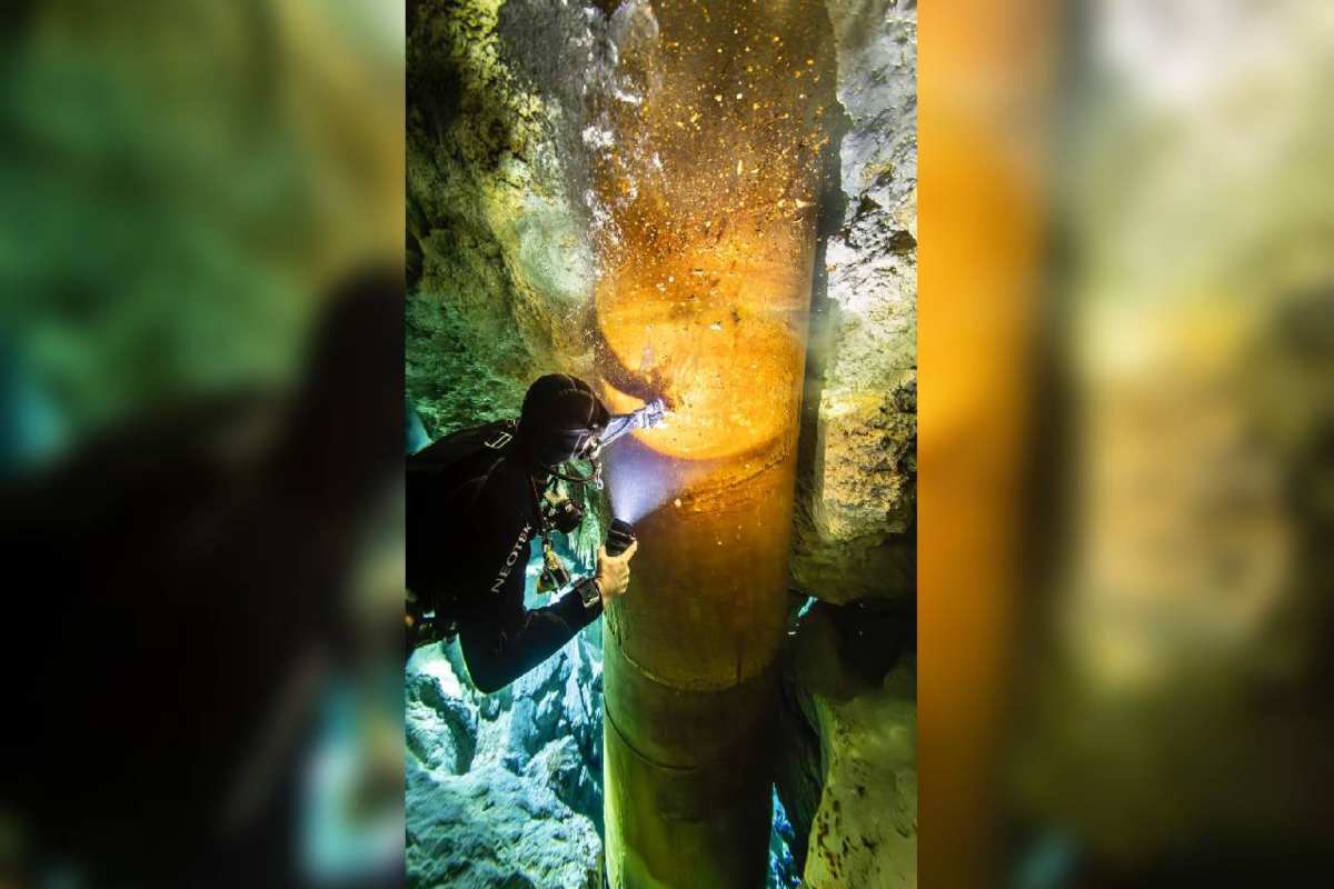 Tren Maya: el poder que AMLO dio a Sedena para controlar y vigilar los tramos 5, 6 y 7