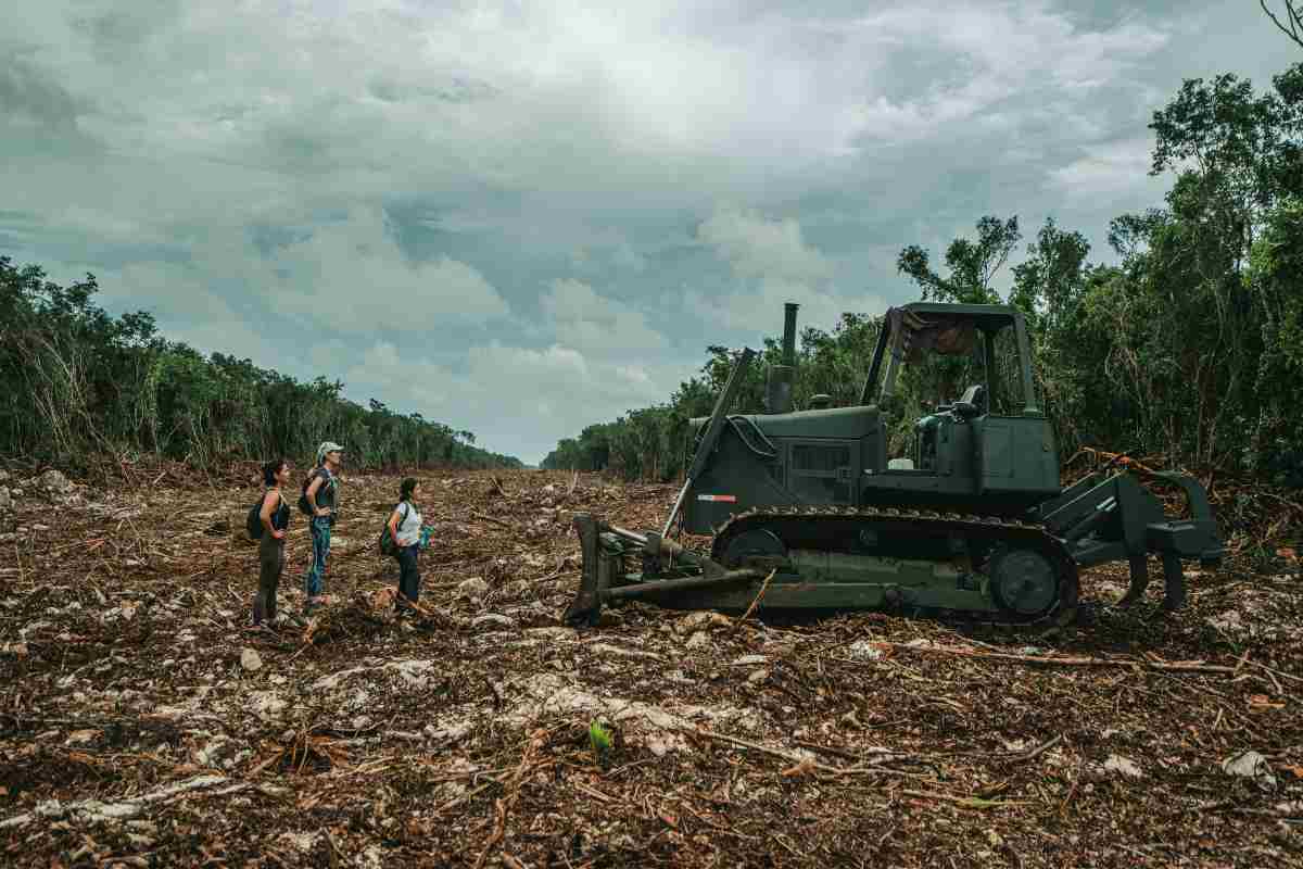 Tren Maya: el poder que AMLO dio a Sedena para controlar y vigilar los tramos 5, 6 y 7