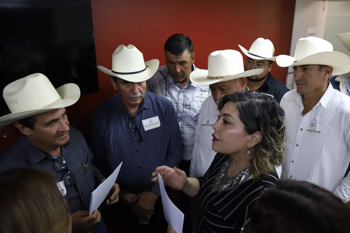 PRI y PAN piden frenar nueva Ley de Aguas; acusan dictamen “parchado”, centralista y sin presupuesto