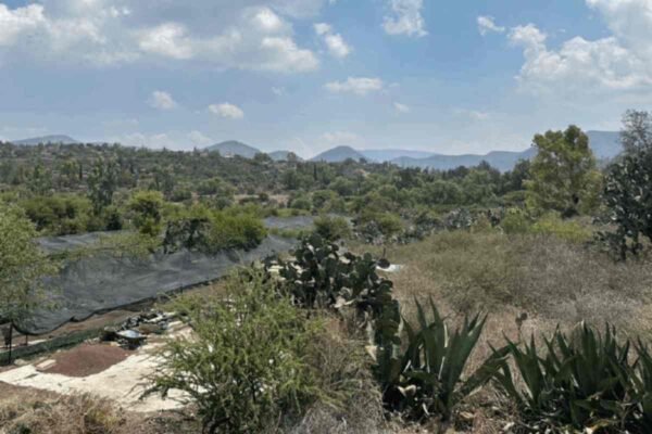 Parque Ecológico Hidalgo muestra imagen posible creación