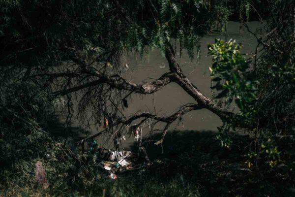 Rechazo parque Hidalgo