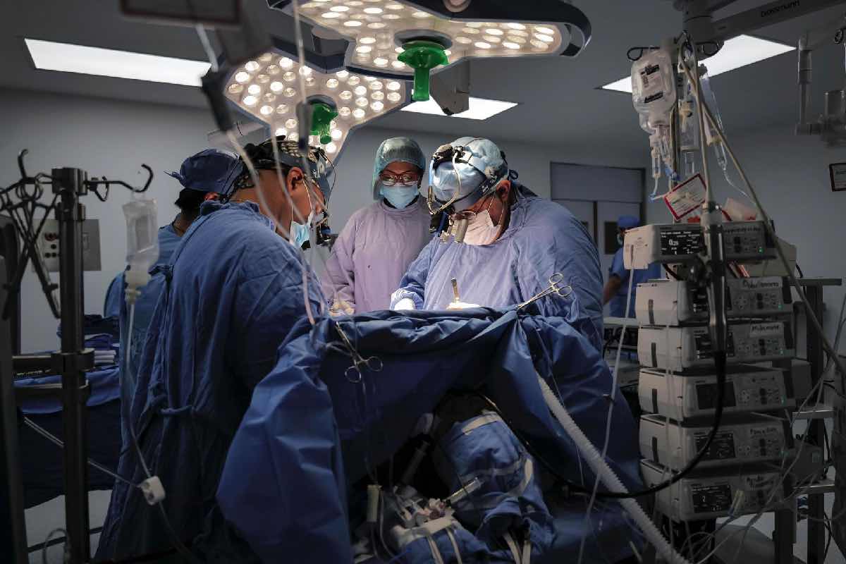 Salud para todos, en el papel; pacientes sin seguridad social viajan hasta 700 km por atención de alta especialidad Animal_Político_5