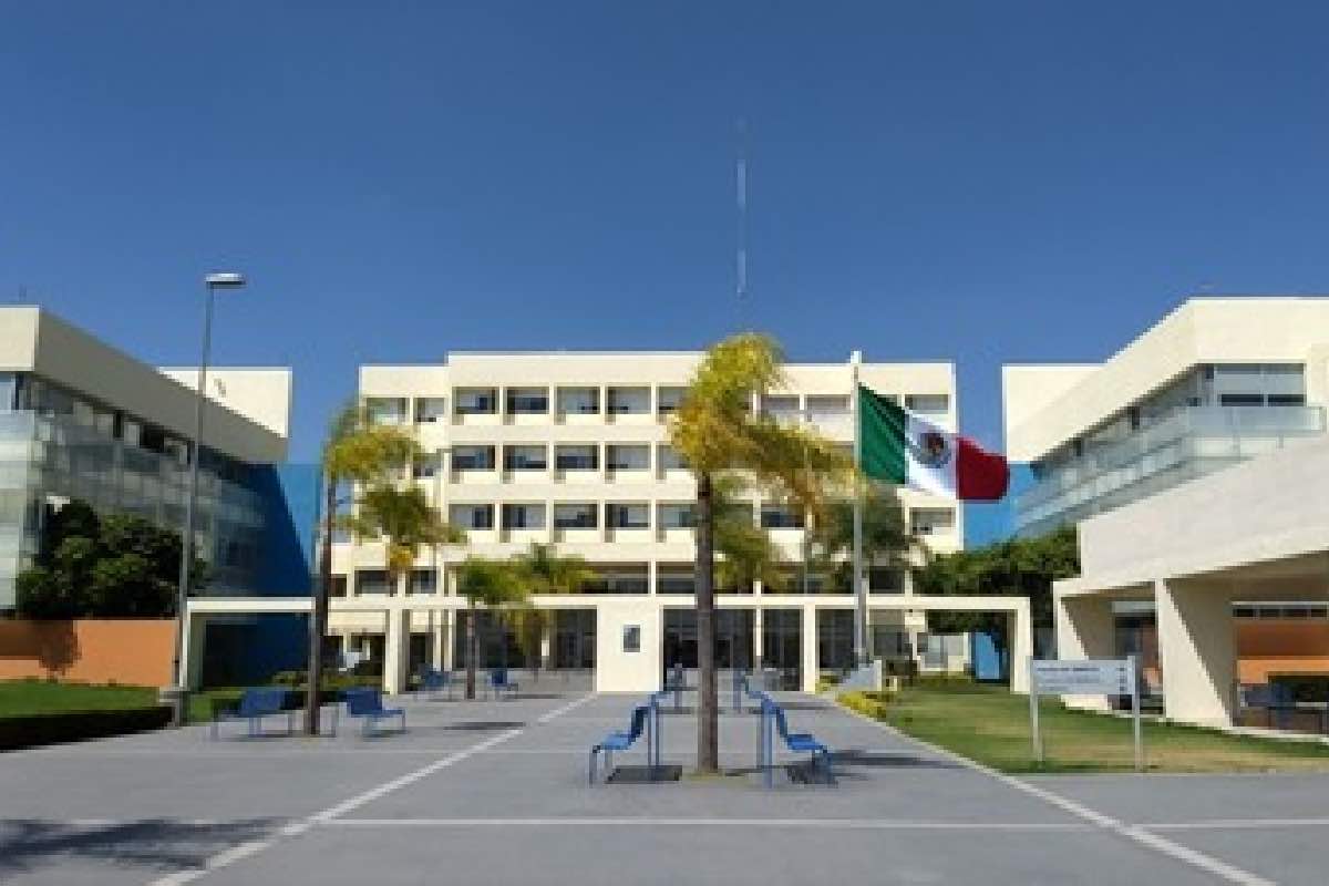 Salud para todos, en el papel; pacientes sin seguridad social viajan hasta 700 km por atención de alta especialidad Animal_Político_6