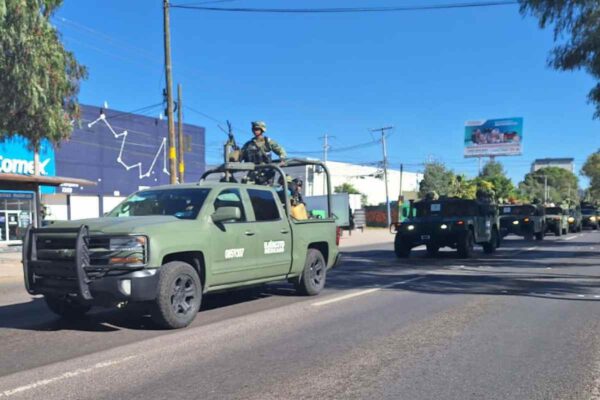 Seguridad Guanajuato