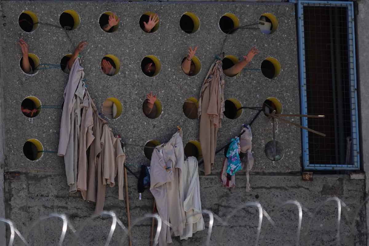 Sheinbaum cerca de romper el récord histórico de presos en México- las cifras clave Animal Político_5