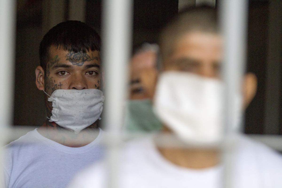 Sheinbaum cerca de romper el récord histórico de presos en México- las cifras clave Animal Político_6