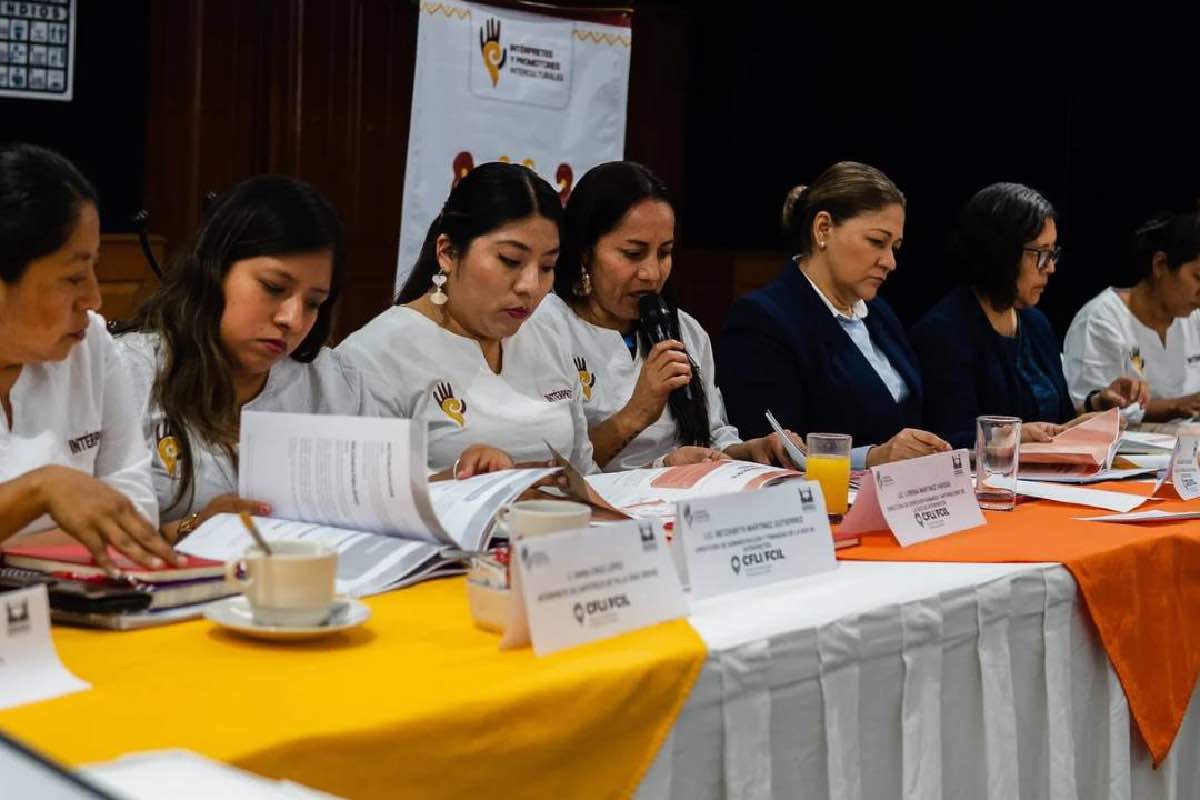 “Sin intérpretes no hay justicia”- la demanda de migrantes indígenas oaxaqueños en EU para poder comunicarse creció casi un 200 por ciento_4