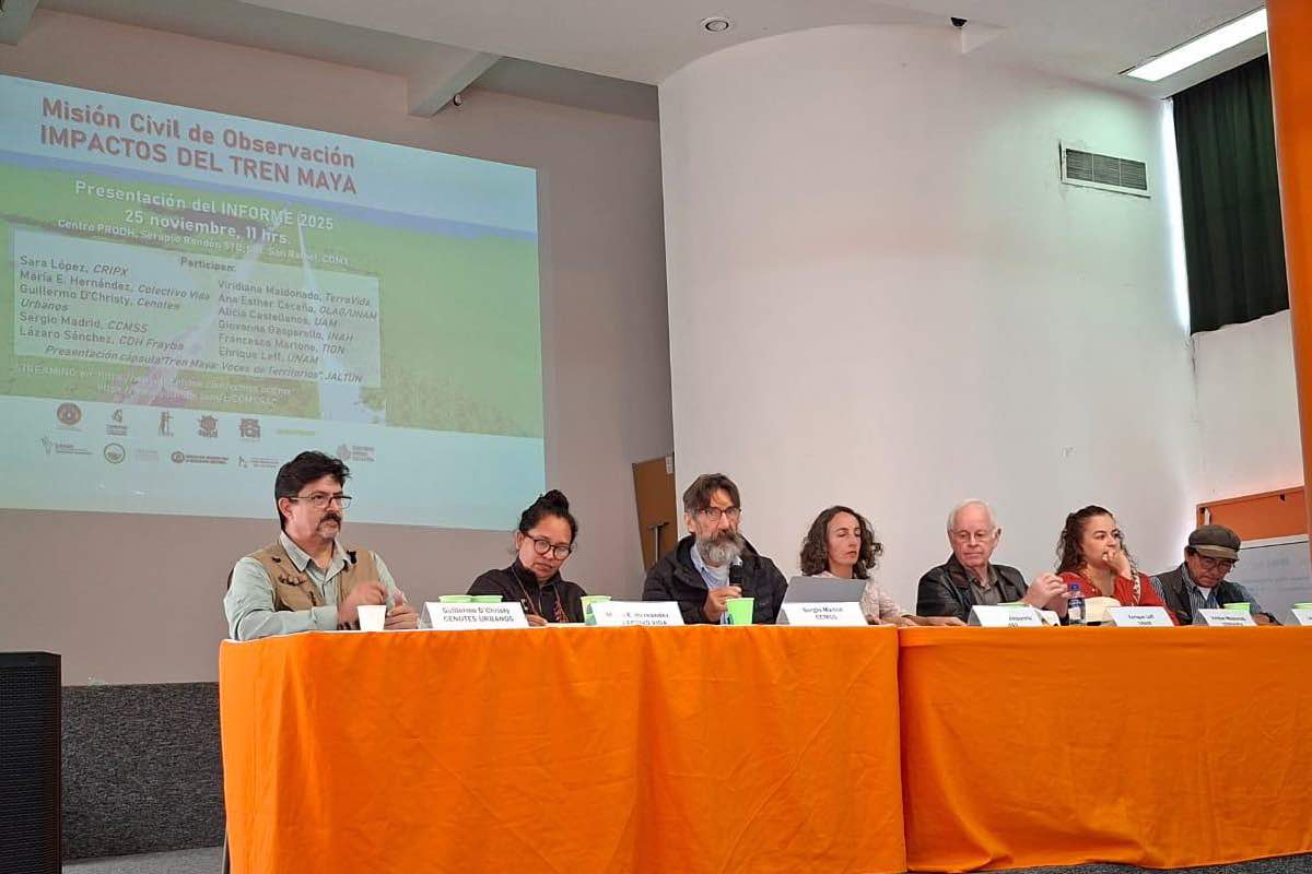 Tramos 5, 6 y 7 del Tren Maya agravan daños irreversibles y elevan violencia en Península de Yucatán Animal Político_2