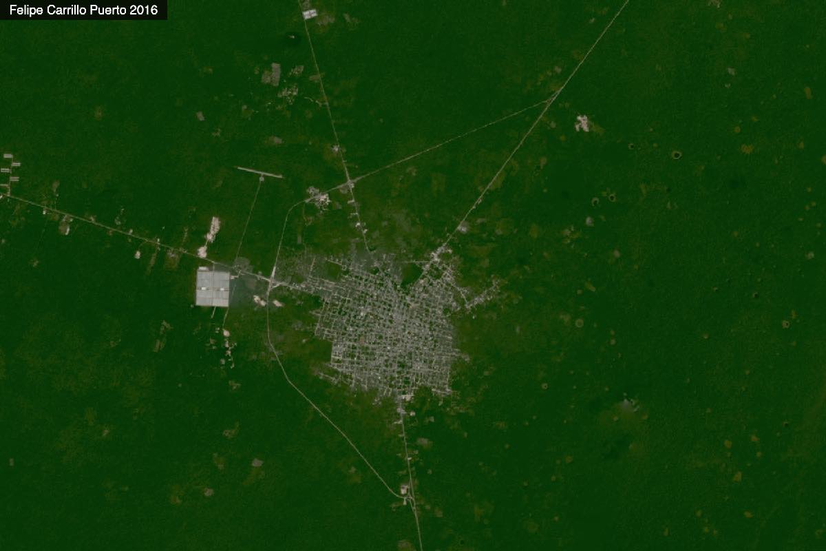 Tramos 5, 6 y 7 del Tren Maya agravan daños irreversibles y elevan violencia en Península de Yucatán Animal Político_4