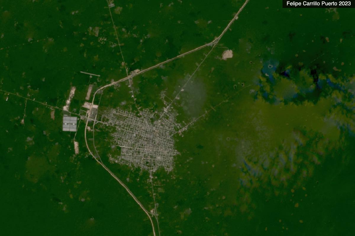 Tramos 5, 6 y 7 del Tren Maya agravan daños irreversibles y elevan violencia en Península de Yucatán Animal Político_5