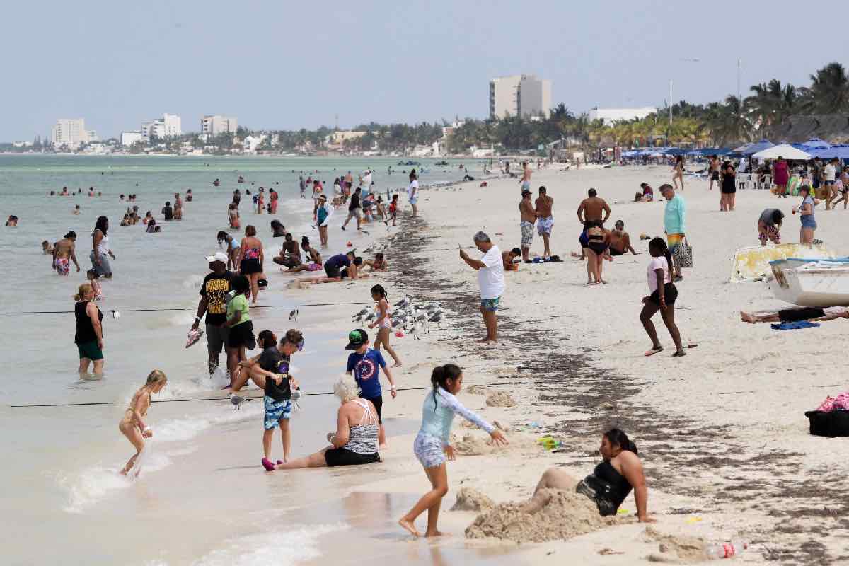 Tramos 5, 6 y 7 del Tren Maya agravan daños irreversibles y elevan violencia en Península de Yucatán Animal Político_6