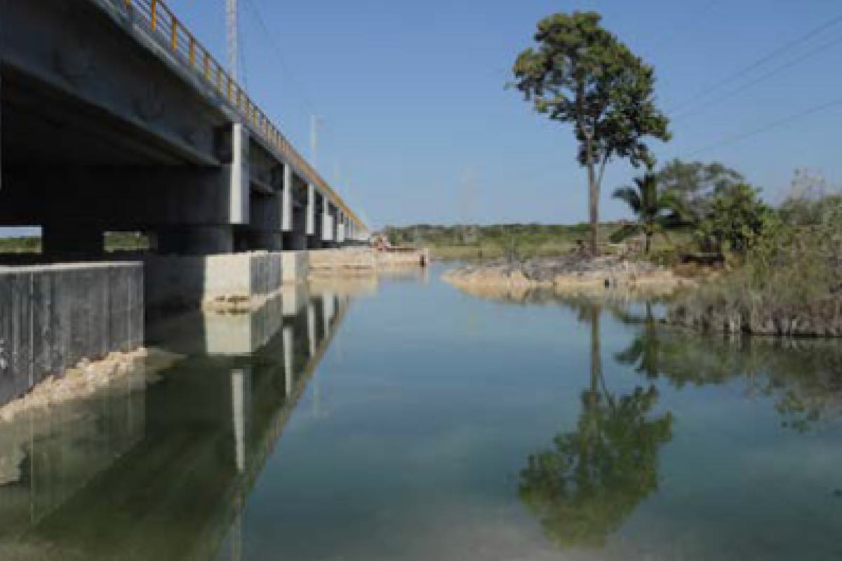 Tramos 5, 6 y 7 del Tren Maya agravan daños irreversibles y elevan violencia en Península de Yucatán Animal Político_7