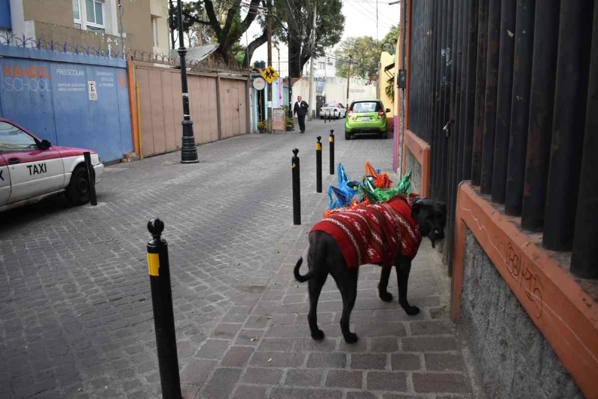asedio-xoco-testimonio-pueblo-originario-frente-a-la-gentrificacion-violencia