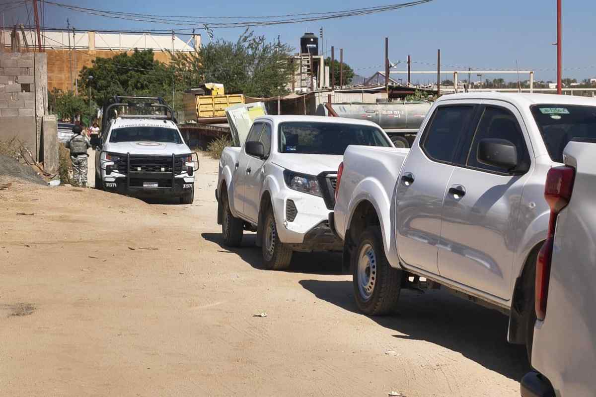 aseguran-profepa-fgr-animales-exóticos-baja-california-sur-mexico