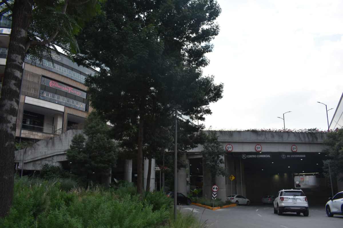 bajo-asedio-xoco-testimonio-pueblo-originario-frente-a-la-gentrificacion-violencia-institucional