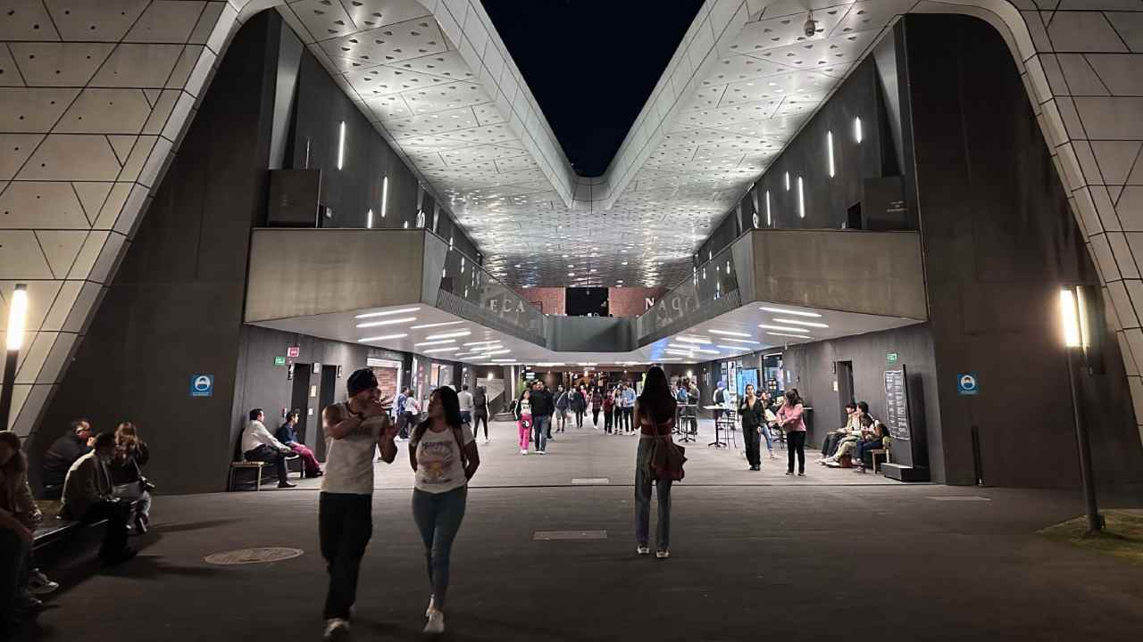 colectivos-cineteca-nacional-protesta-tianguis-cortometrajes-pinatas-posada