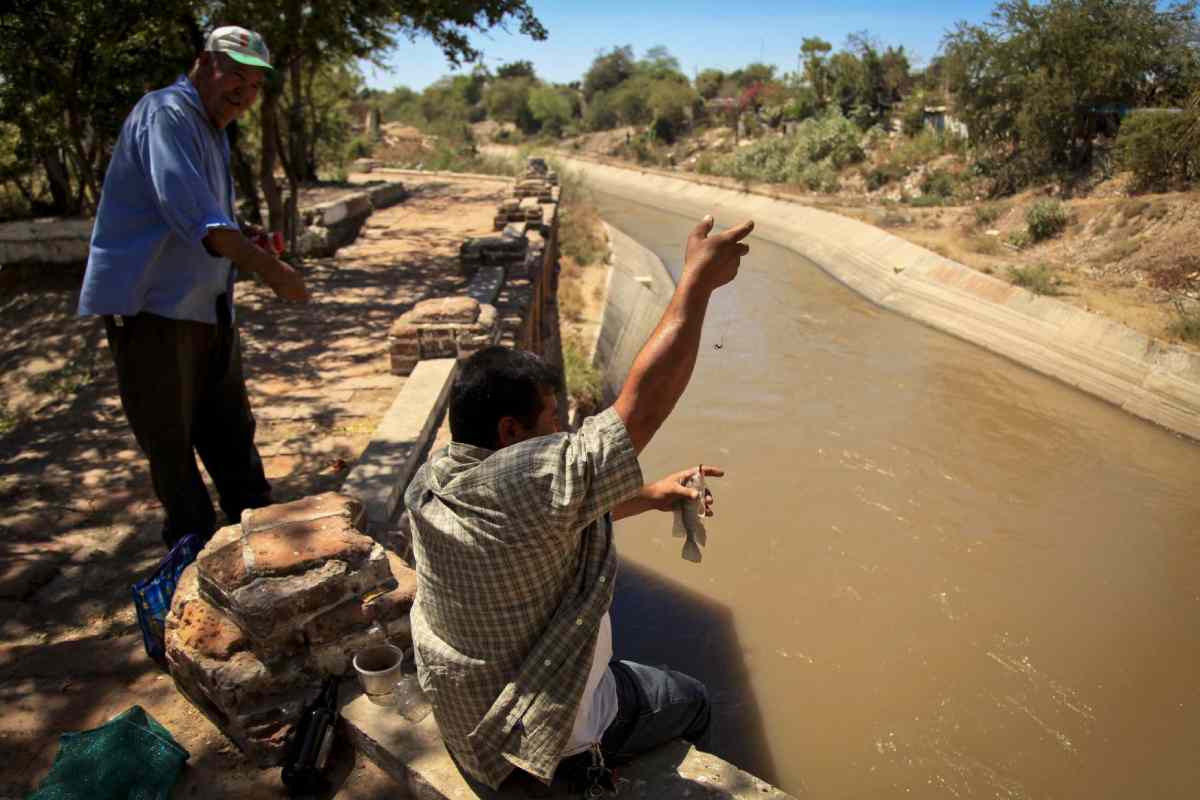 dan-pesqueros-ultimatum-para-el-rescate-de-sistemas-lagunarios-en-rosario-y-escuinapa