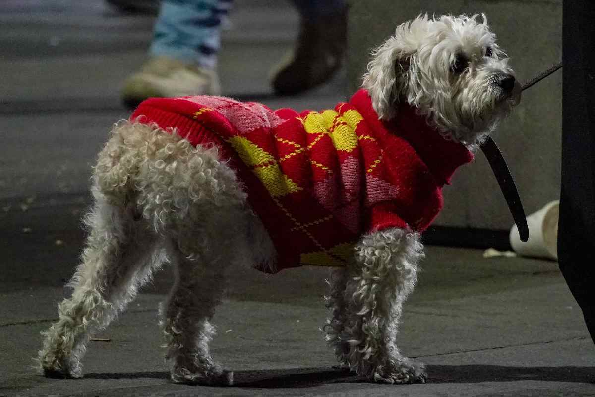 Frente Frío 18 ingresa a México; provocará lluvias y caída de nieve y aguanieve