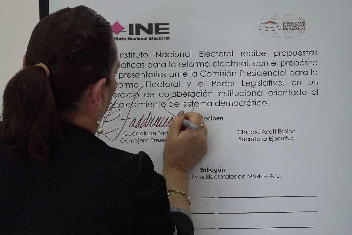 INE pide que reforma electoral no desaparezca a los OPLES