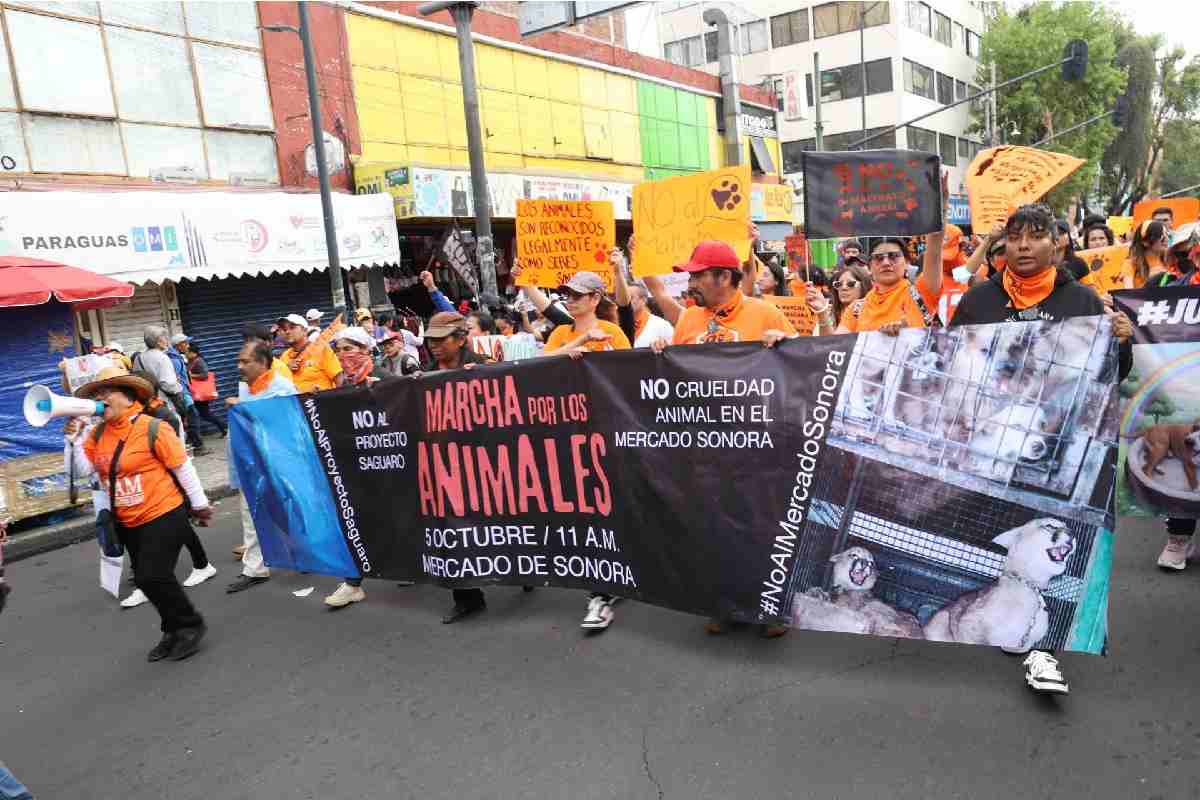 Mercado de Sonora dejará de vender animales no humanos vivos desde el 1 de enero de 2026 por orden judicial