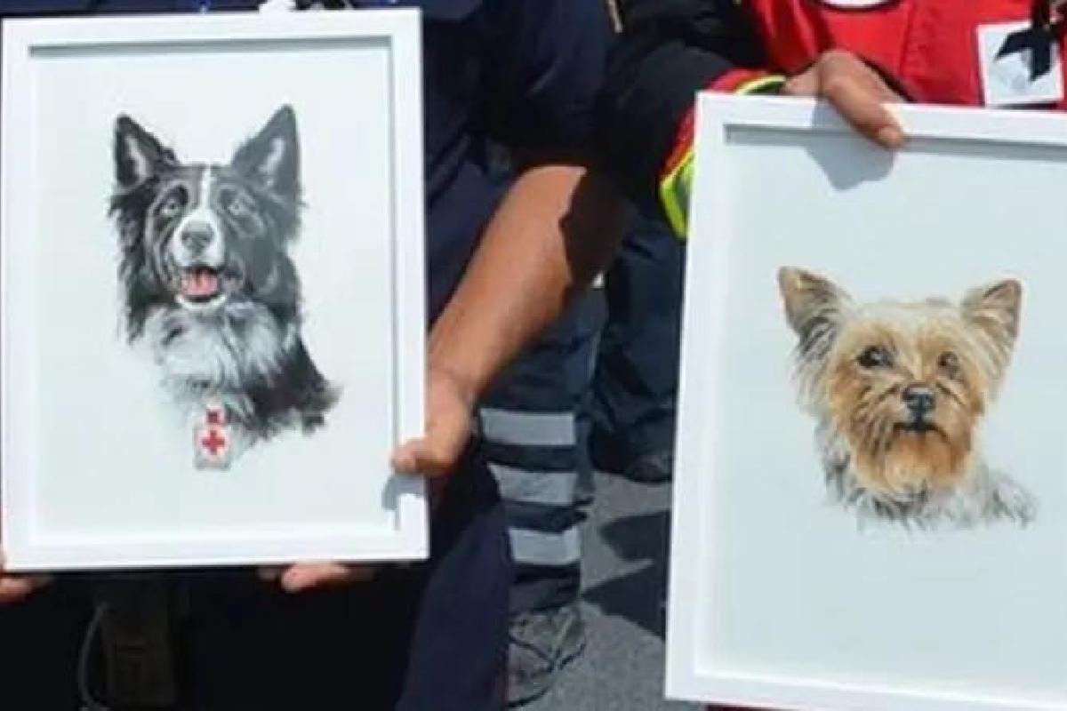 Caso Athos y Tango: alertan sobre resolución de Tribunal que reduce condena por el envenenamiento de los perros rescatistas