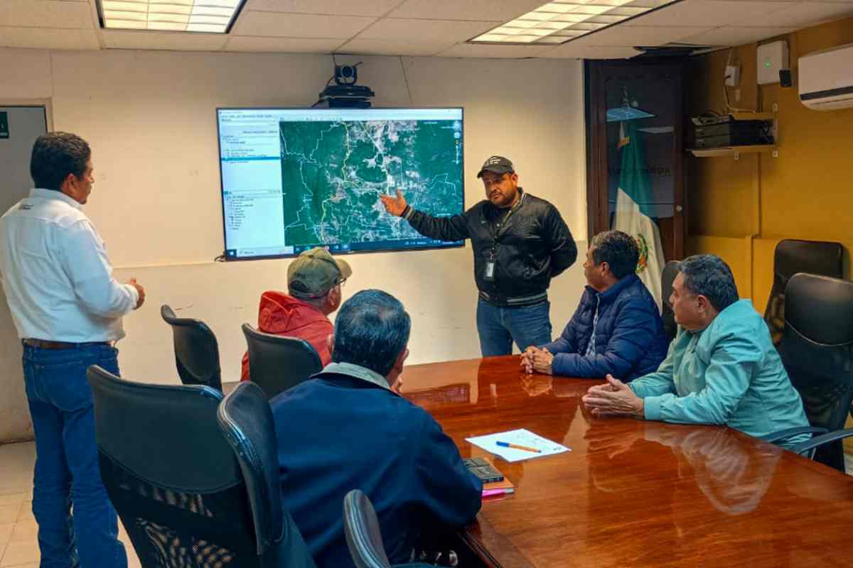 senasica gusano barrenador tamaulipas