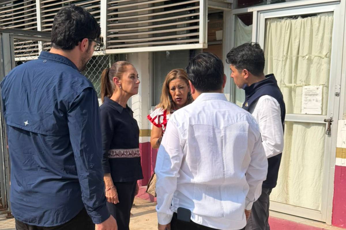 sheinbaum-interiores