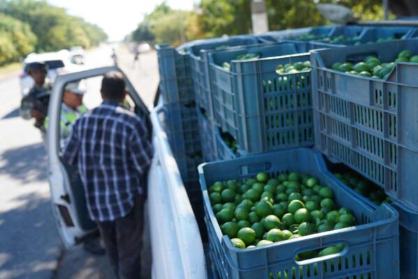 Asesinato de líder limonero Bernardo Bravo