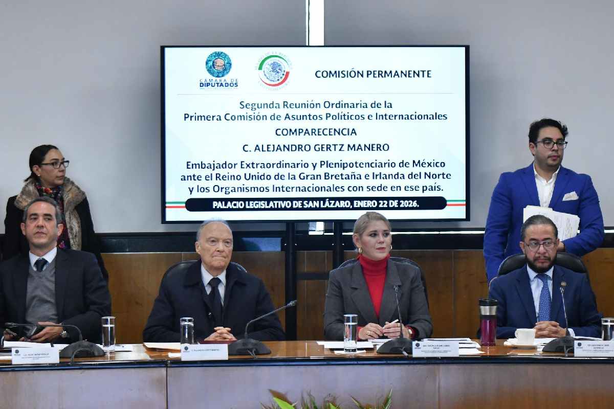 Comparecencia Gertz Manero 