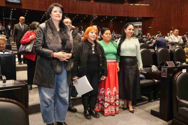 Comparecencia Rosario Piedra Ibarra