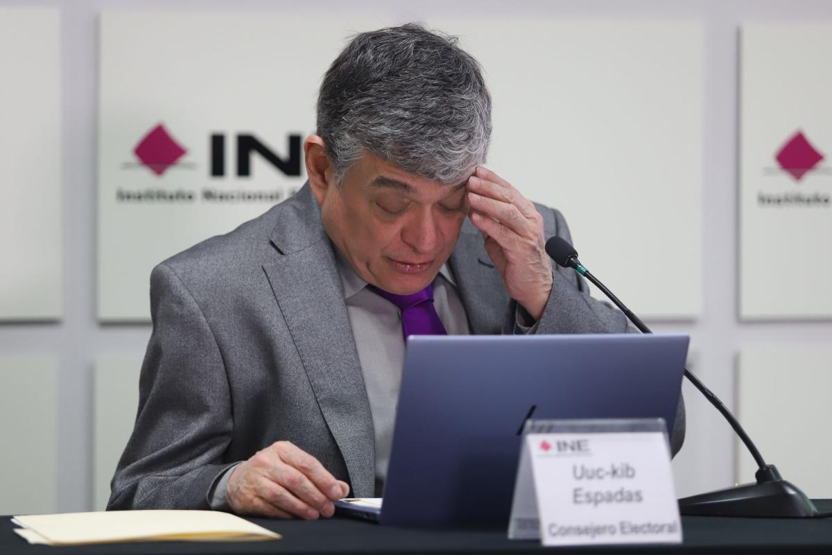 Consejero de INE advierte que reforma electoral no se sustenta con ahorro; pide boleta plurinominal 