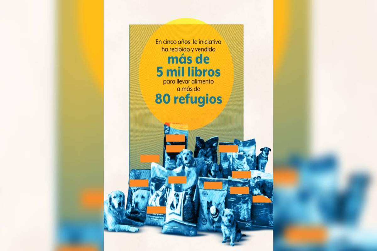 Dona libros usados y apoya a refugios de animales: conoce la iniciativa Reciclando Letras MX