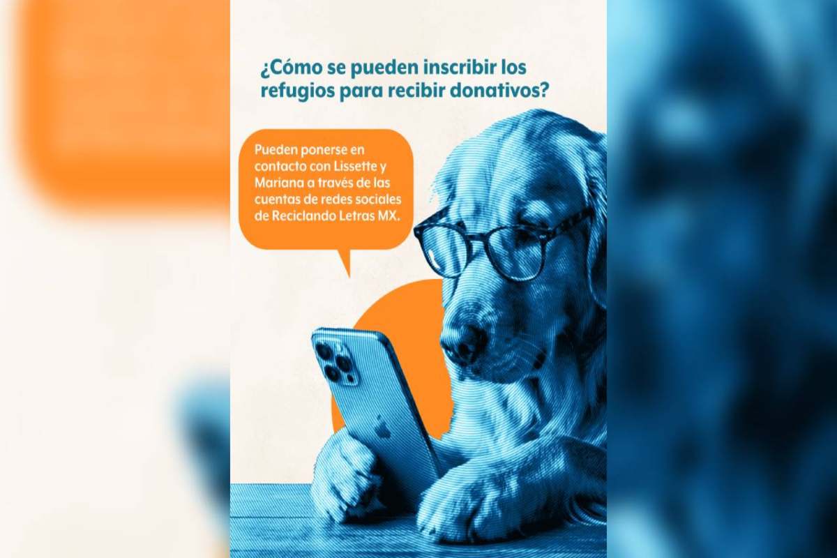 Dona libros usados y apoya a refugios de animales: conoce la iniciativa Reciclando Letras MX