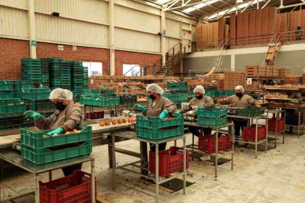 Economía en México