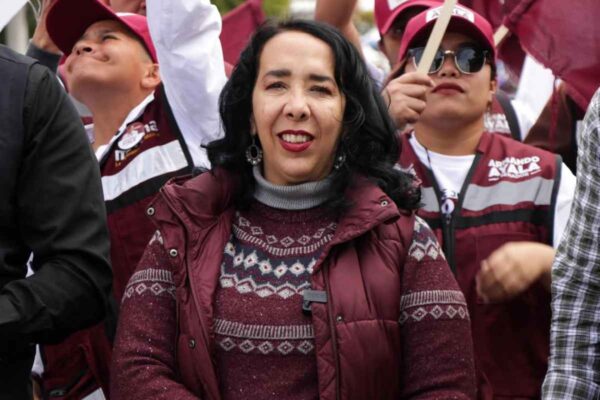 Hilda Brown Morena Diputada cuentas bloqueadas UIF crimen organizado