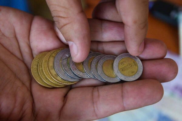 Inflación primera quincena enero 2026