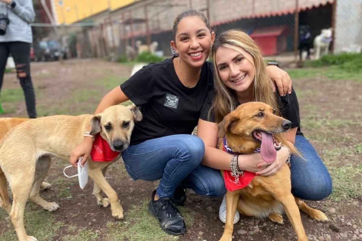 dona-libros-usados-refugios-animales-reciclando-letras