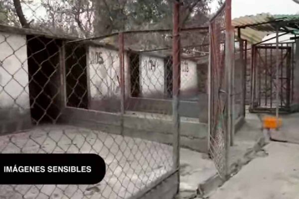 Jaulas sin techo refugio franciscano